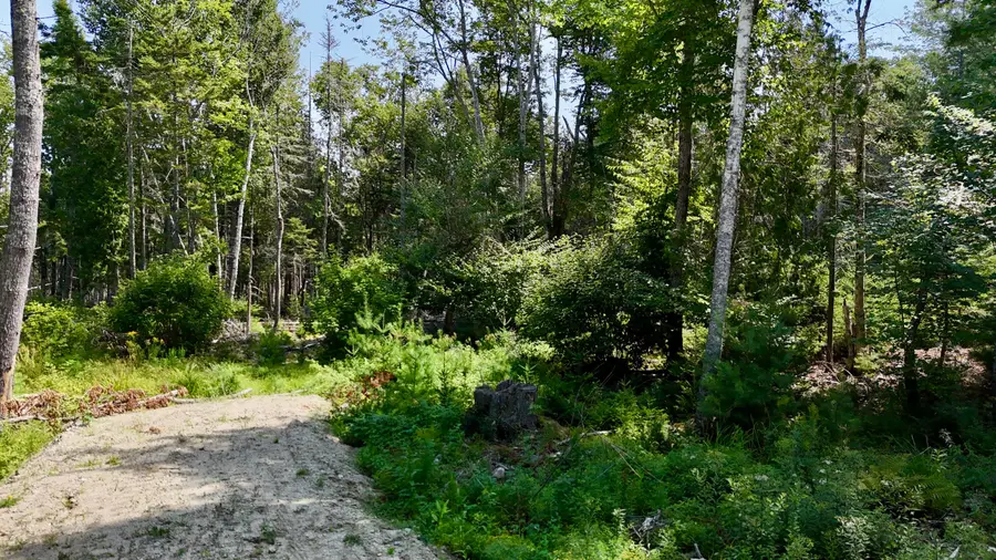 M08 L044-D Flye Point Road, Brooklin, ME 04616 - #2