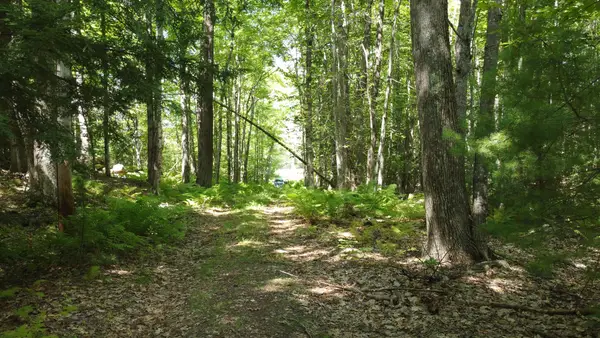 L52B & 52C Off Gammon Road, Limington, ME 04049