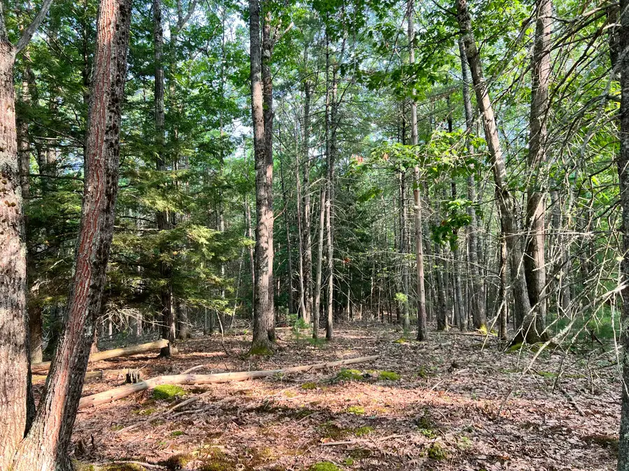 70-0 East Burrough Road, Bowdoin, ME 04287 - #3