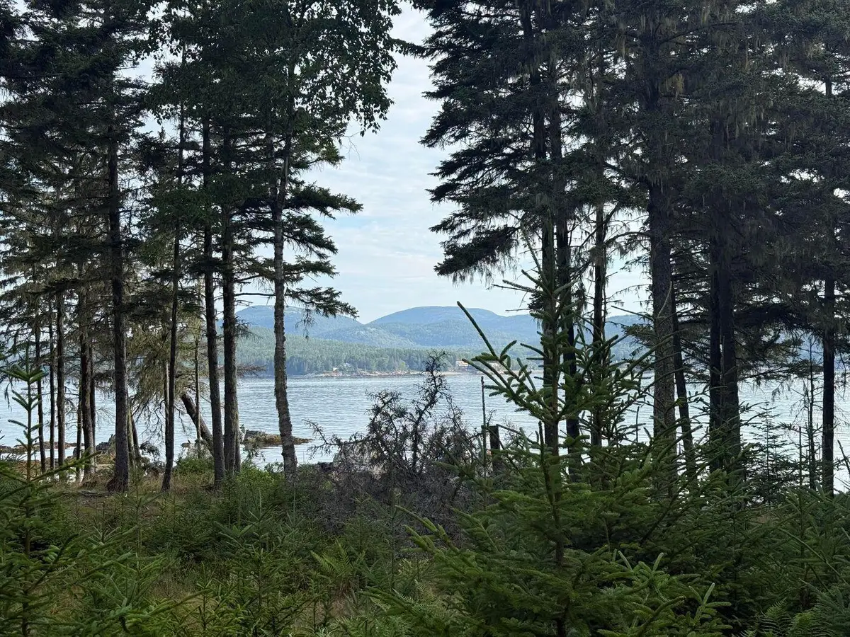 Lot 10-1 N Sutton Island, Cranberry Isles, ME 04625 - #1
