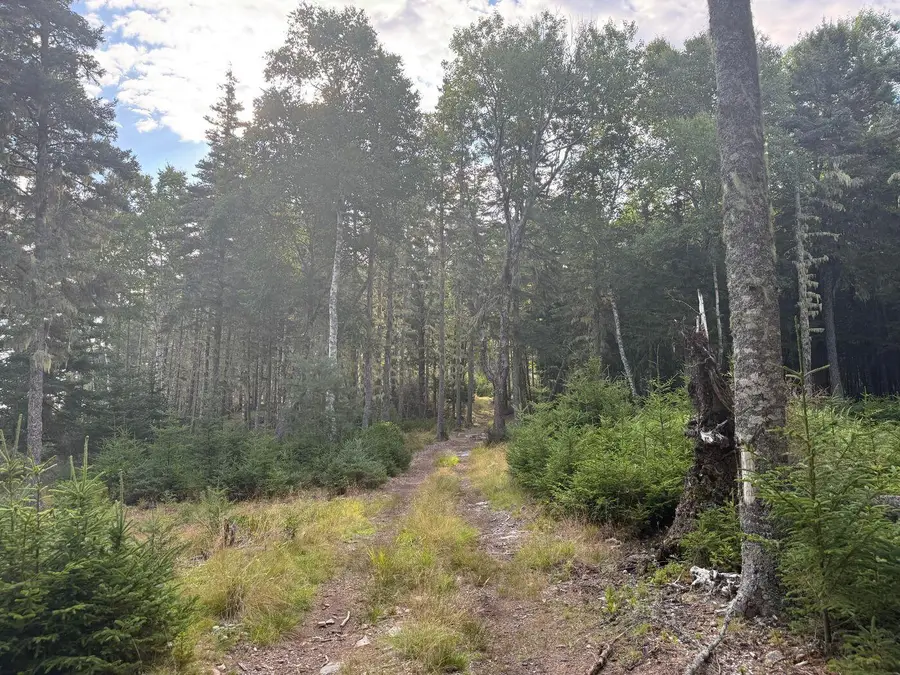 Lot 10-1 N Sutton Island, Cranberry Isles, ME 04625 - #3
