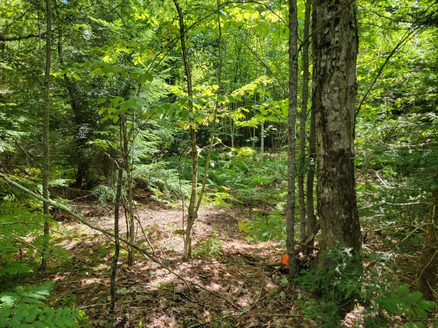 B-2BackLot Pioneer Path, Aurora, ME 04605 - #3