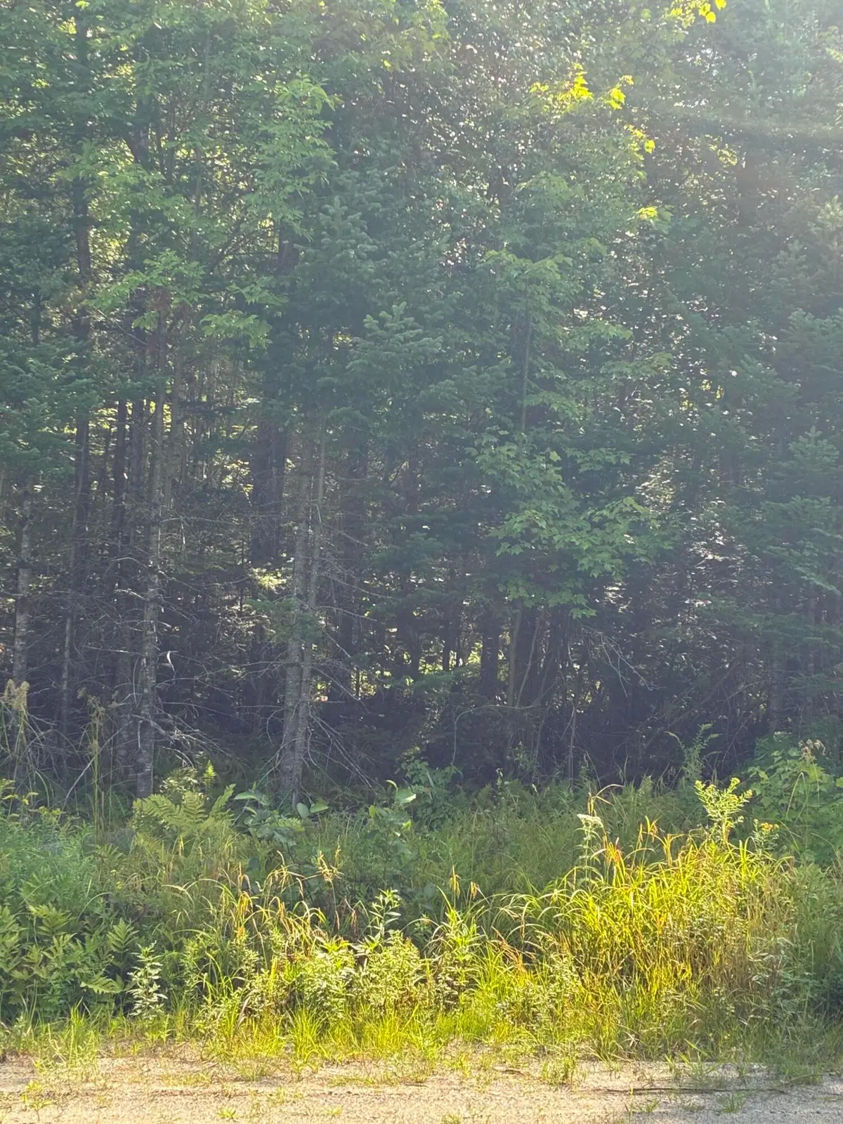 1256 Long Ridge Road, Burlington, ME 04417 - #1