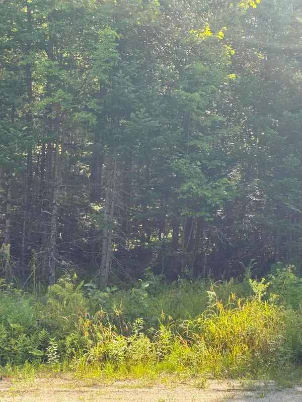 1256 Long Ridge Road, Burlington, ME 04417