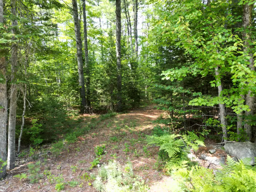 Lot 5 River Road, Maxfield, ME 04453 - #2