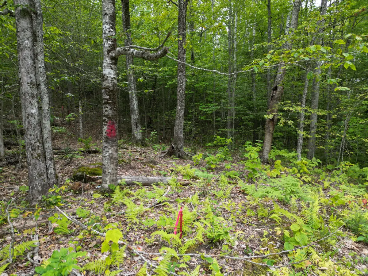 Lot 32 Bagley Mountain Road, Lincoln, ME 04457 - #1
