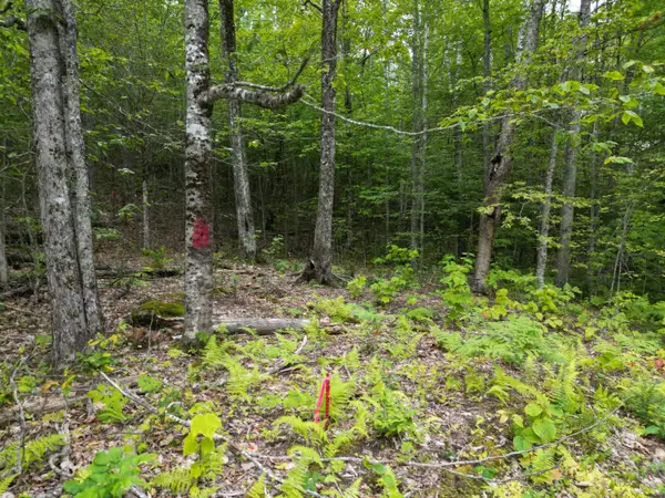 Lot 32 Bagley Mountain Road, Lincoln, ME 04457