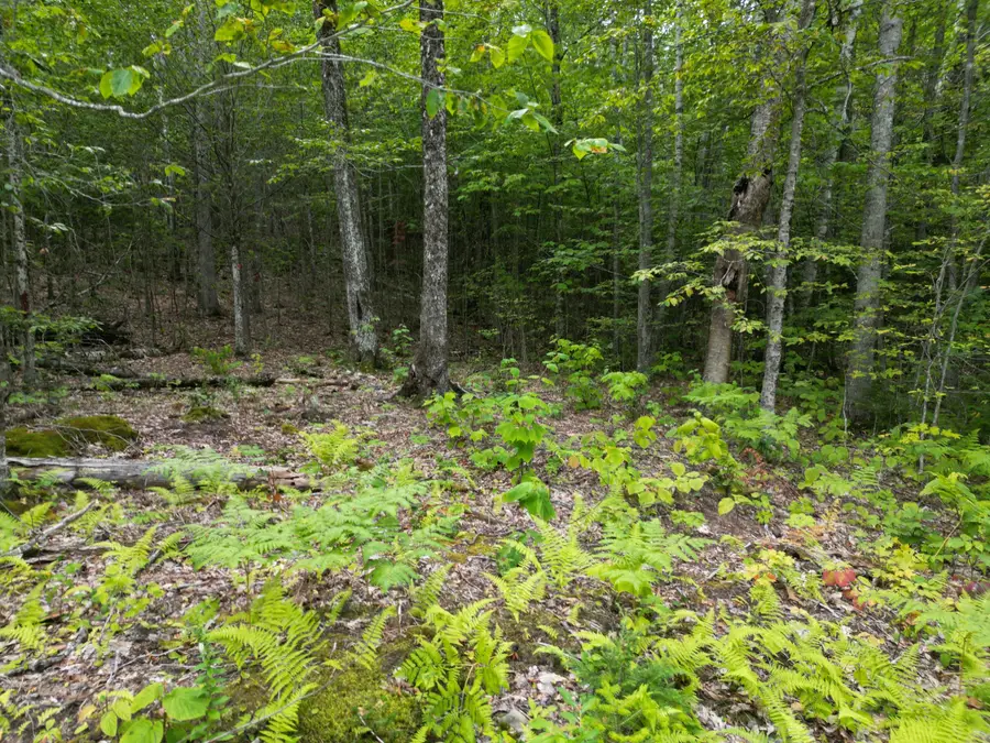 Lot 32 Bagley Mountain Road, Lincoln, ME 04457 - #2