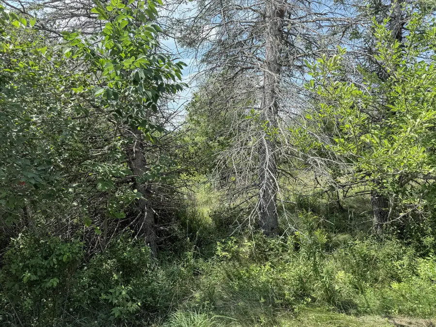 M1L3-5 Kansas Road, Milbridge, ME 04658 - #3