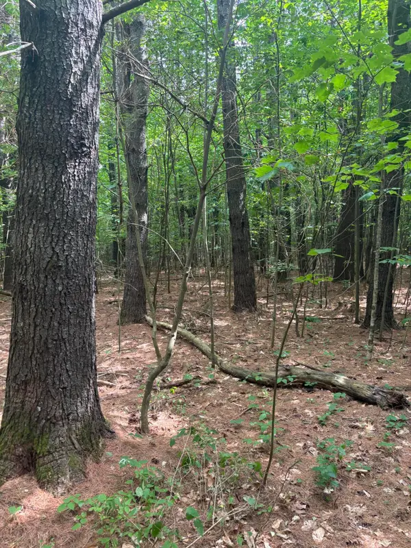 Lot 28 Troy Road, Burnham, ME 04922