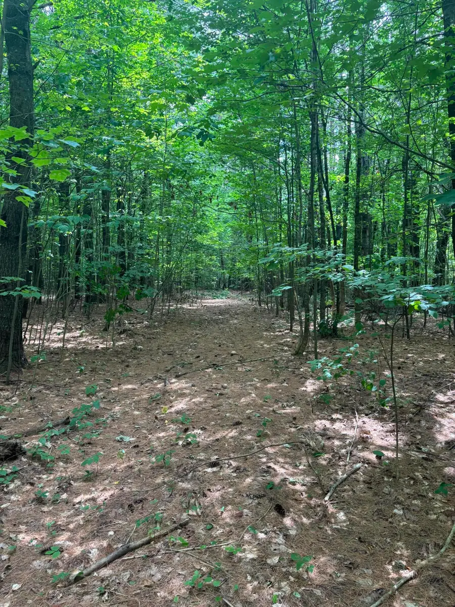 Lot 28 Troy Road, Burnham, ME 04922 - #2