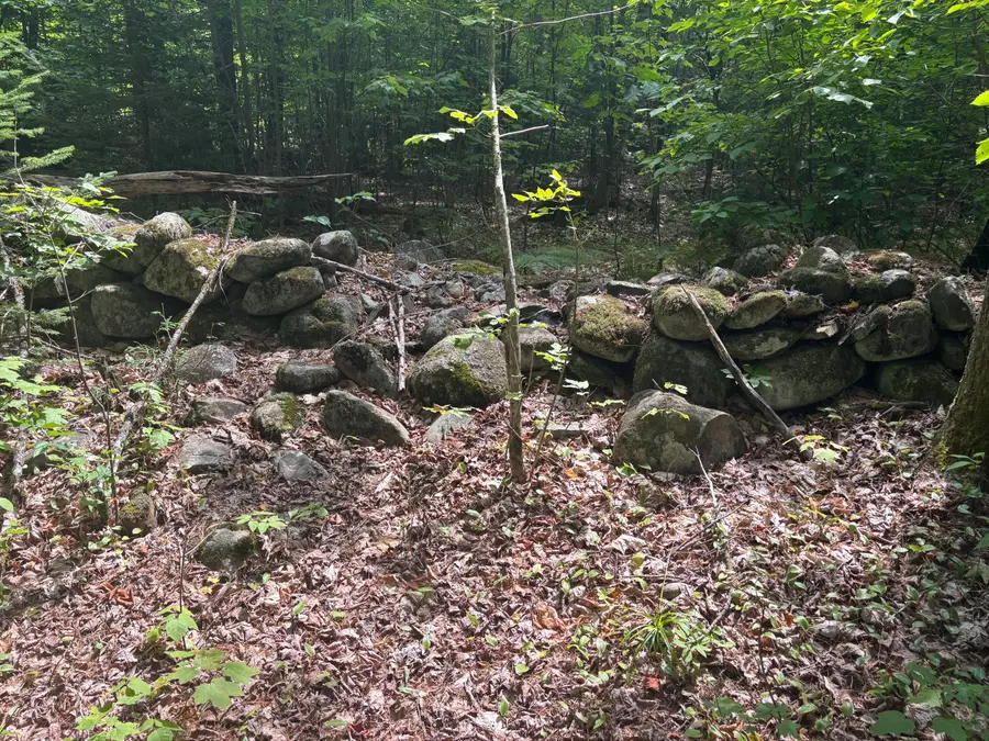 Lot 28 Troy Road, Burnham, ME 04922 - #3