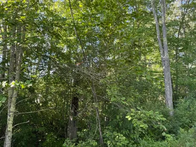 9-21 Drake Road, Bradford, ME 04410 - #2