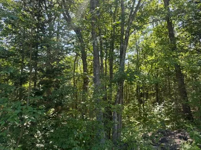 9-21 Drake Road, Bradford, ME 04410 - #3