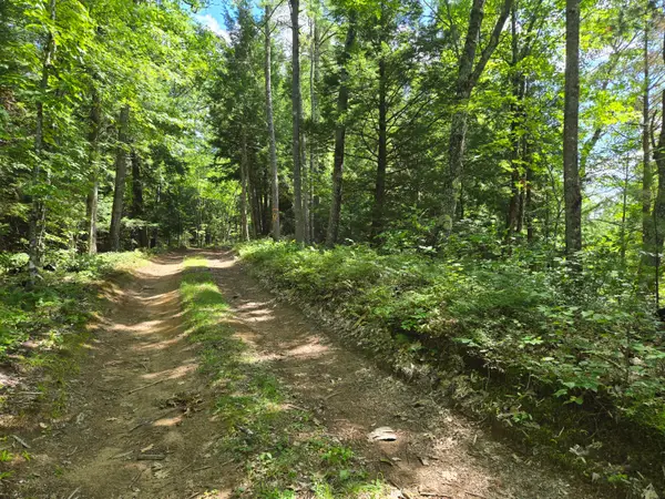 Lot 8 East Andover Road, Andover, ME 04216