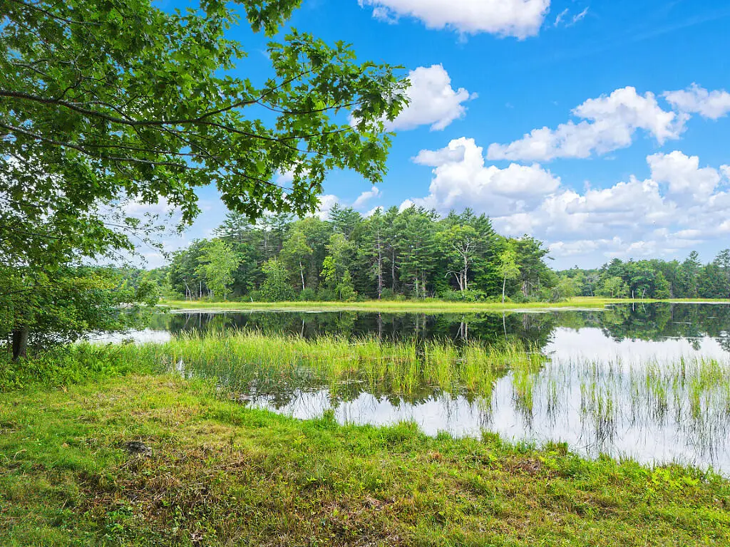 62 Bog Hill Road, West Gardiner, ME 04345 - #1