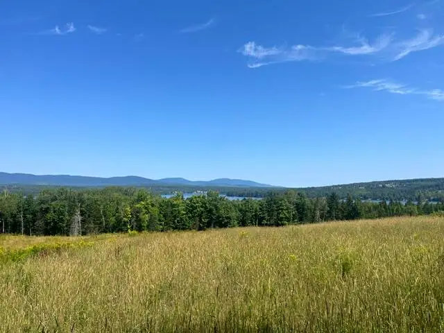Lot 44.1A S South Shore Drive, Rangeley Plt, ME 04970 - #1