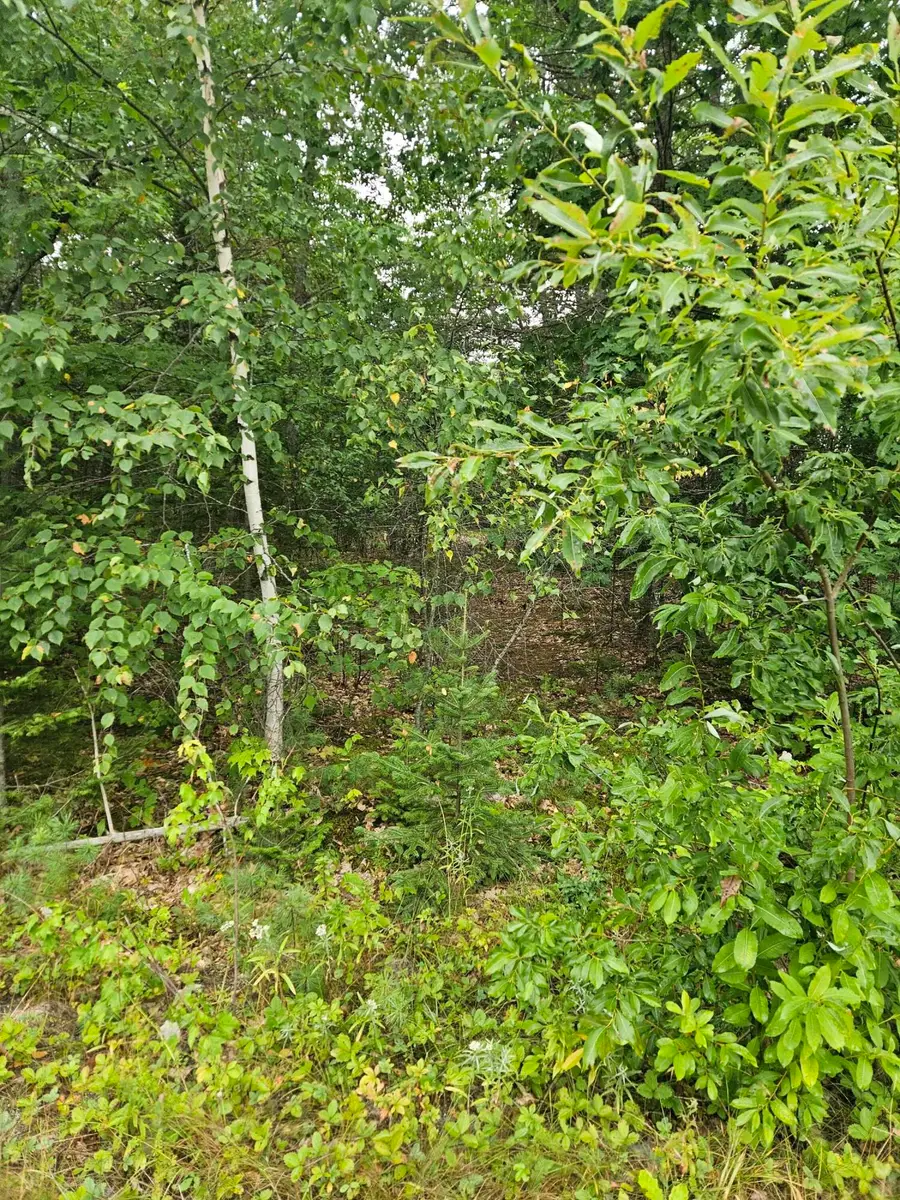 11 Kellen Drive, Kenduskeag, ME 04450 - #3