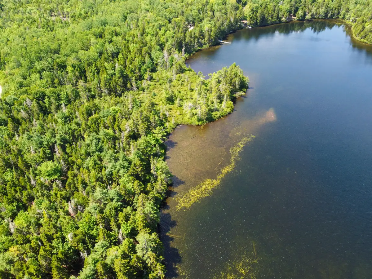 Lot 6 Goulding Lake Road, Robbinston, ME 04671 - #1