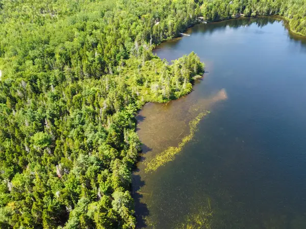 Lot 6 Goulding Lake Road, Robbinston, ME 04671