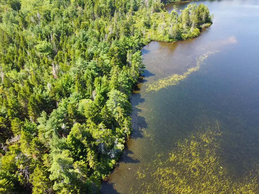 Lot 6 Goulding Lake Road, Robbinston, ME 04671 - #3