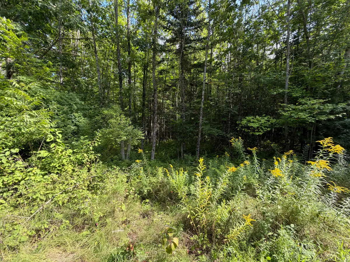 TBD Stoneybrook Drive #Lot 1, Oakland, ME 04963 - #1