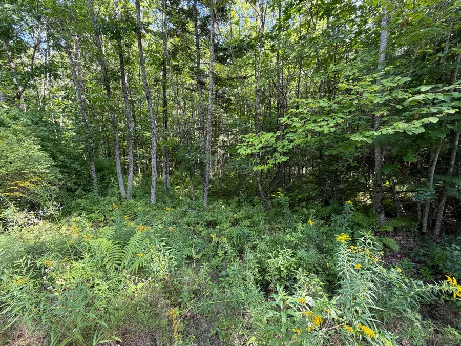 TBD Stoneybrook Drive #Lot 1, Oakland, ME 04963 - #2