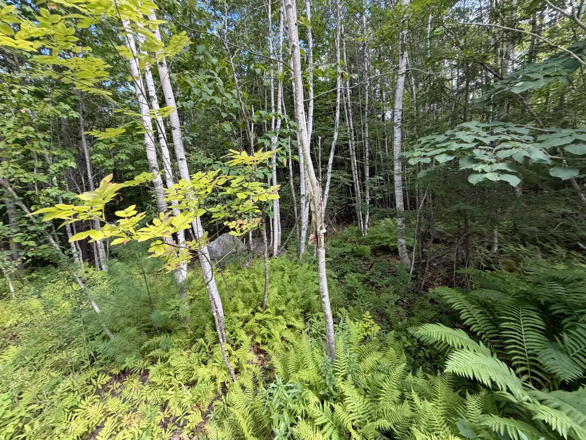 TBD Stoneybrook Drive #Lot 2, Oakland, ME 04963 - #1