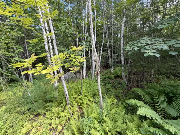 TBD Stoneybrook Drive #Lot 2, Oakland, ME 04963