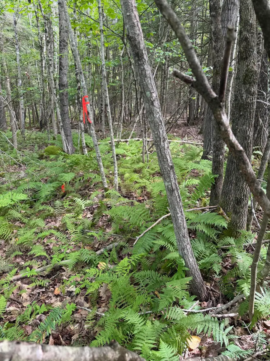 TBD Stoneybrook Drive #Lot 2, Oakland, ME 04963 - #2
