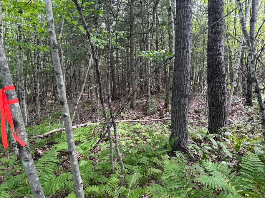 TBD Stoneybrook Drive #Lot 2, Oakland, ME 04963 - #3