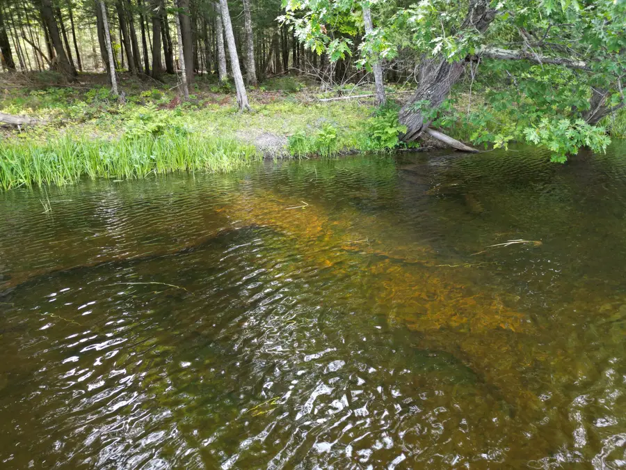 Lot 3 Off Mattamiscontis Road, Howland, ME 04448 - #2