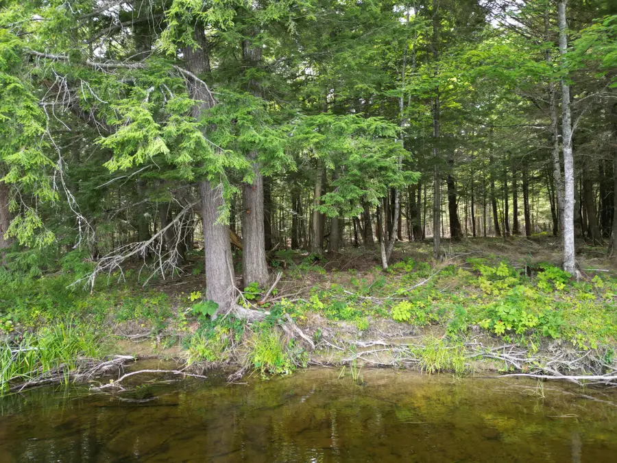 Lot 4 Off Mattamiscontis Road, Howland, ME 04448 - #2