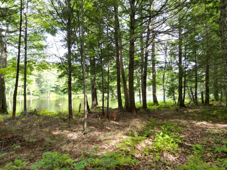 Lot 4 Off Mattamiscontis Road, Howland, ME 04448 - #3