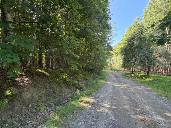 Map 9 Lot 16-10 Clark Richardson Road, Garland, ME 04939