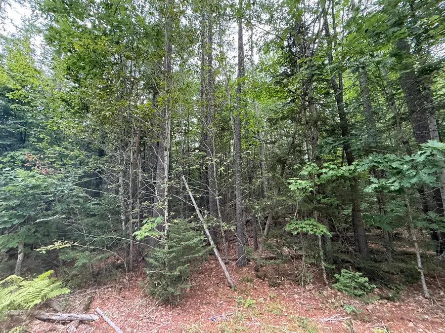 M 13 L 36 Prescott Road, Washington, ME 04574 - #2