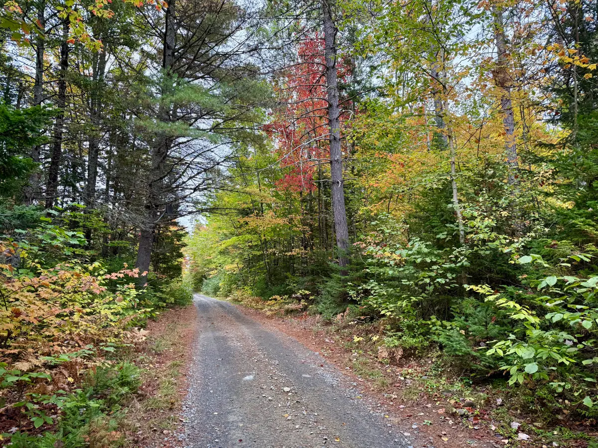 5 Greenleaf Road, Abbot, ME 04406 - #1