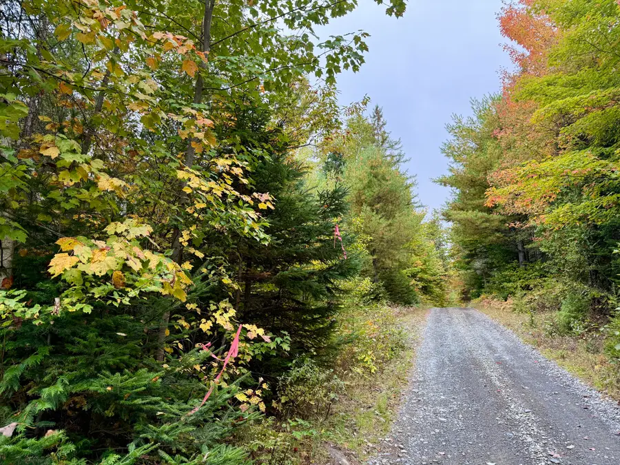5 Greenleaf Road, Abbot, ME 04406 - #3