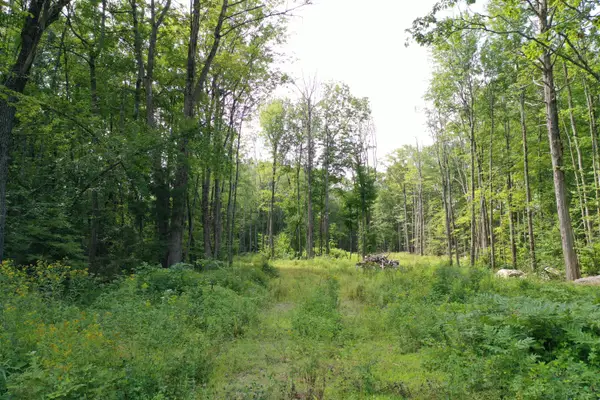 255 Ross Corner Road, Shapleigh, ME 04076