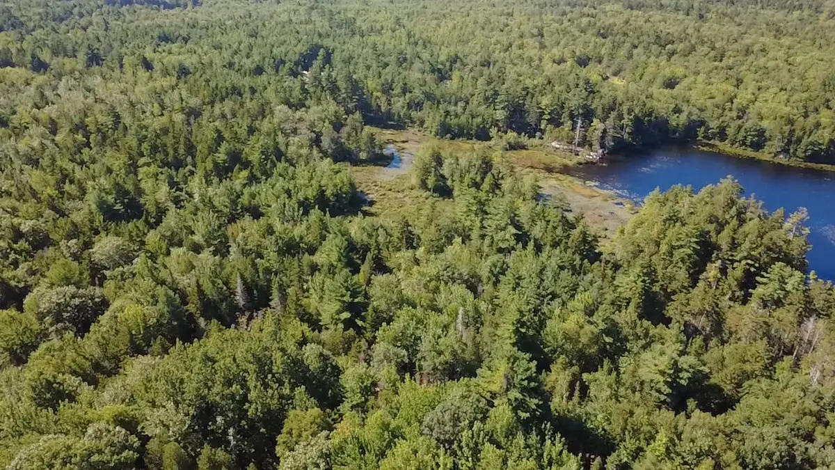 0 Pine Hill Lane, Blue Hill, ME 04614 - #1