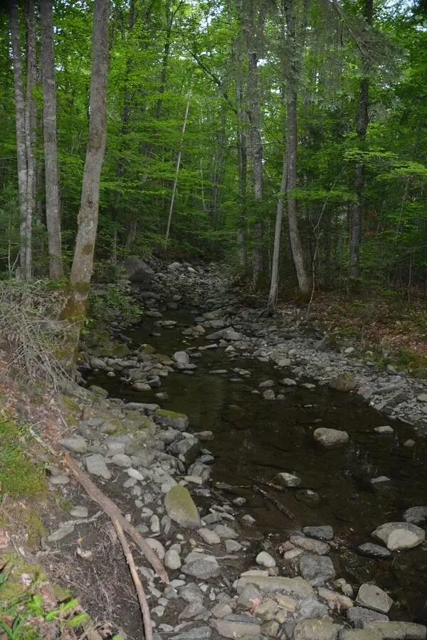 115 Burns Road, Moscow, ME 04920 - #1