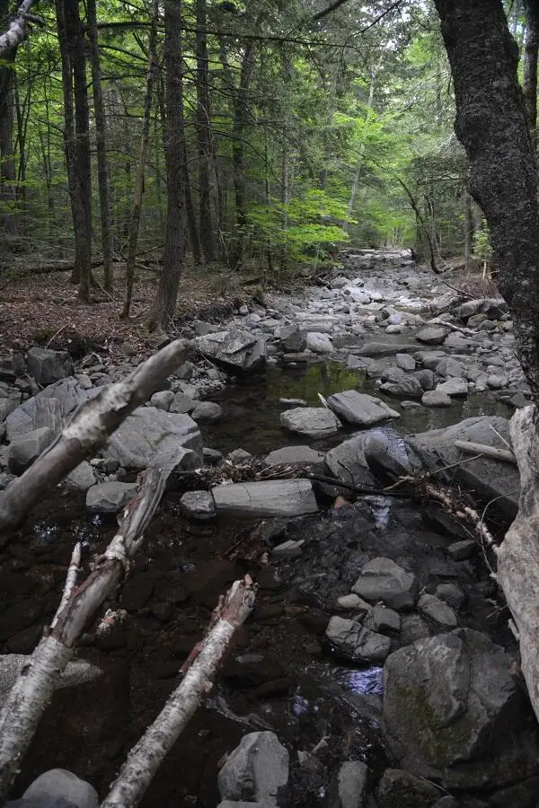115 Burns Road, Moscow, ME 04920 - #2