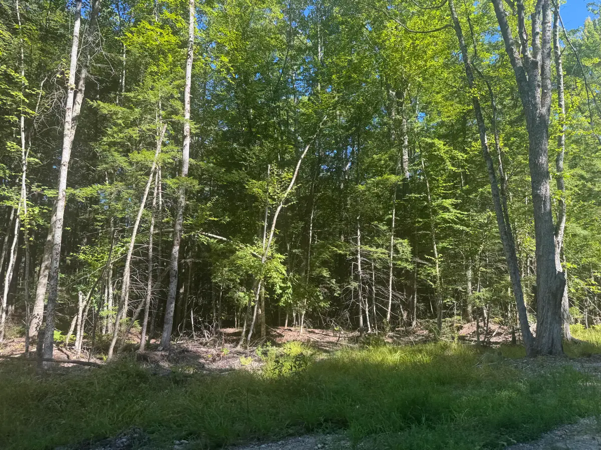 Lot 7 Alice Drive, Limerick, ME 04048 - #1