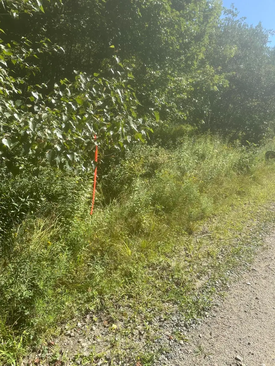 Map3 Lot2 Railroad Street, Harrington, ME 04643 - #2