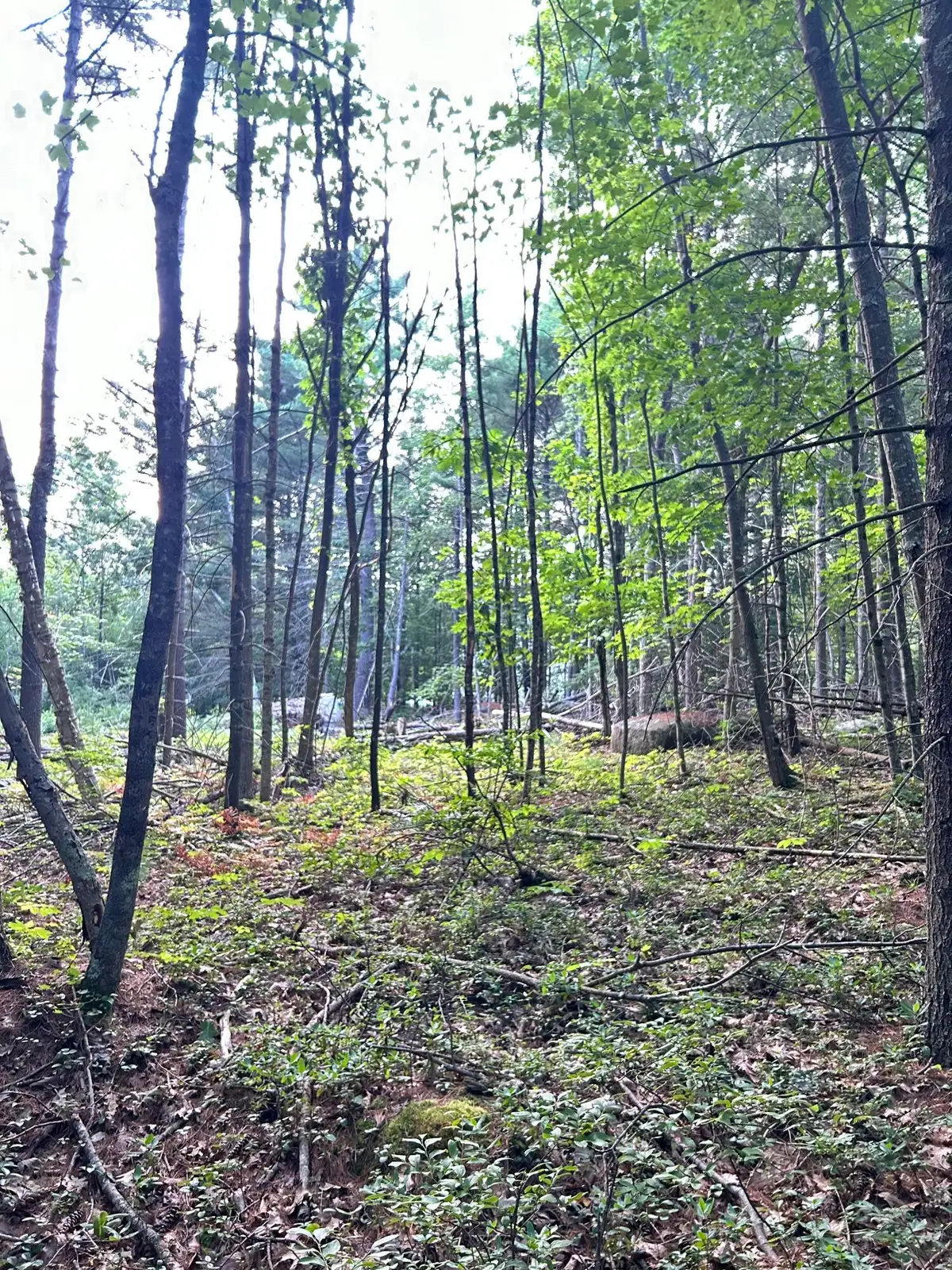 0 Blackberry Lane, Biddeford, ME 04005 - #1