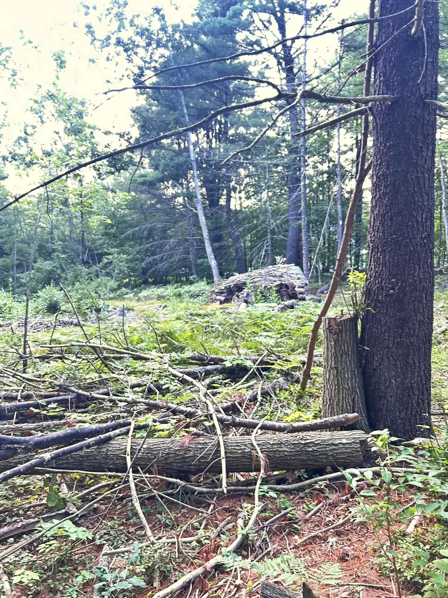 0 Blackberry Lane, Biddeford, ME 04005 - #3