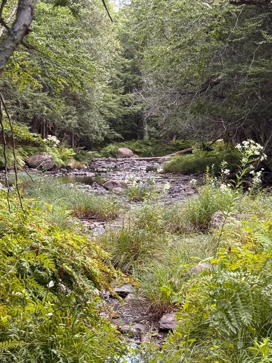 001 Harmony Road, Athens, ME 04912 - #2