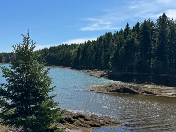 Lot 102.1 Dixie Road, Trescott Twp, ME 04652