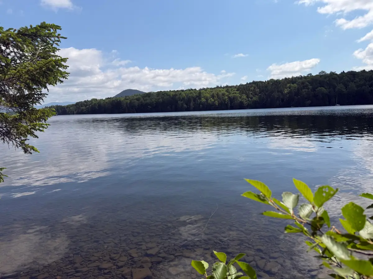 Map 40 Lot 5 Wilson Pond Road, Greenville, ME 04441 - #1