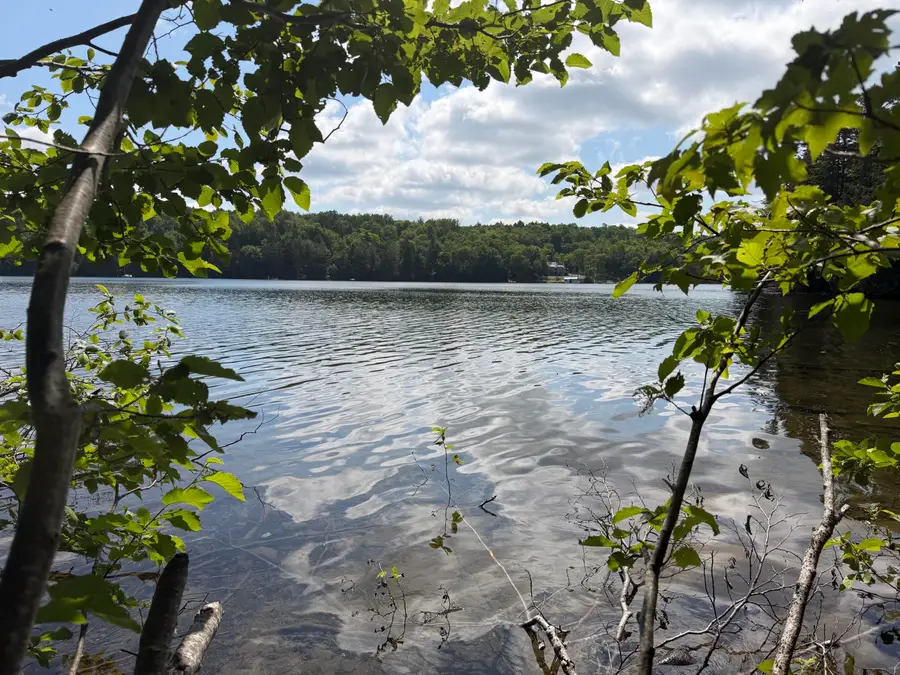 Map 40 Lot 5 Wilson Pond Road, Greenville, ME 04441 - #3